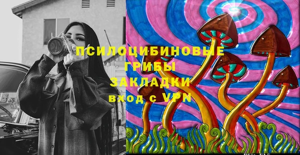 ГАЛЛЮЦИНОГЕННЫЕ ГРИБЫ Верея